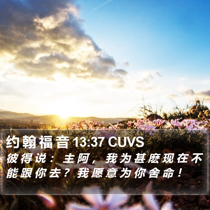 约 翰 福 音 13:37 CUVS Bible Study