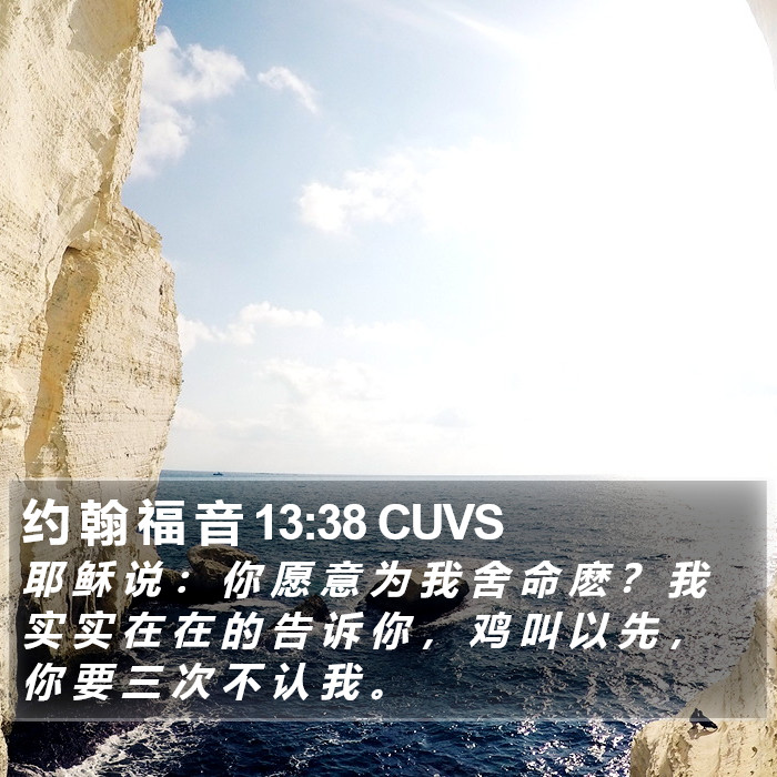 约 翰 福 音 13:38 CUVS Bible Study