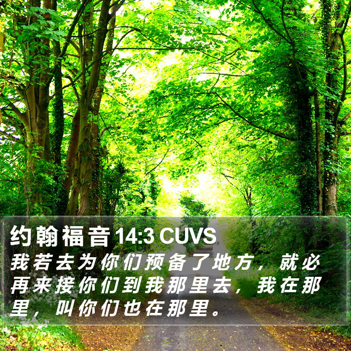 约 翰 福 音 14:3 CUVS Bible Study