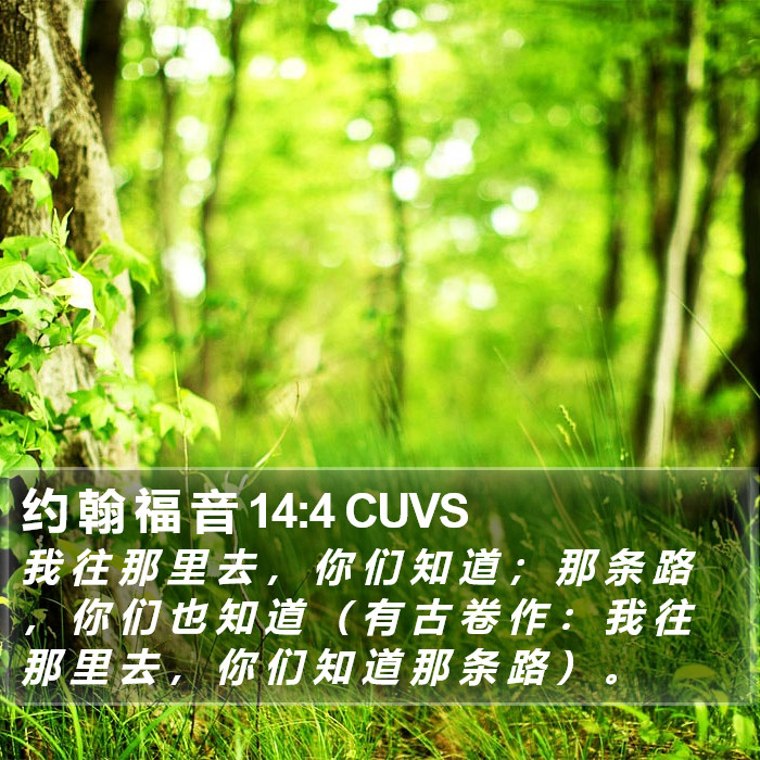 约 翰 福 音 14:4 CUVS Bible Study