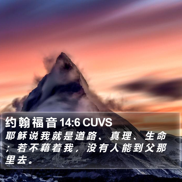 约 翰 福 音 14:6 CUVS Bible Study