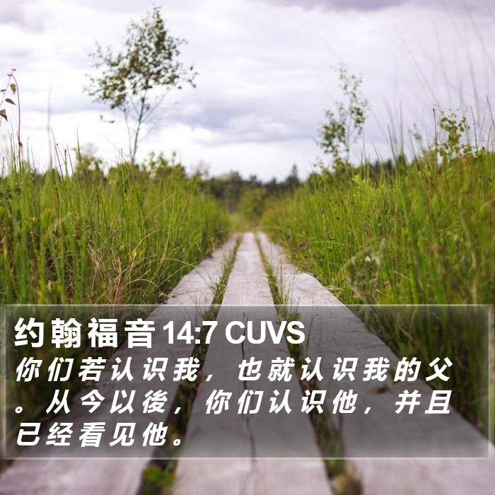 约 翰 福 音 14:7 CUVS Bible Study