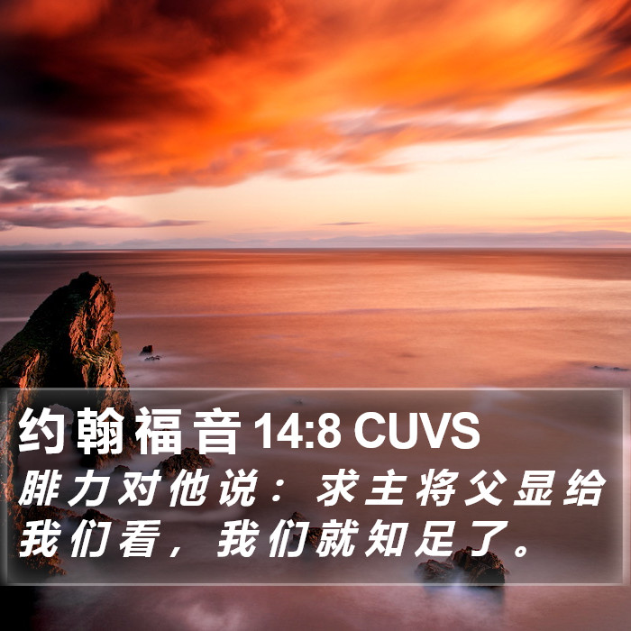 约 翰 福 音 14:8 CUVS Bible Study