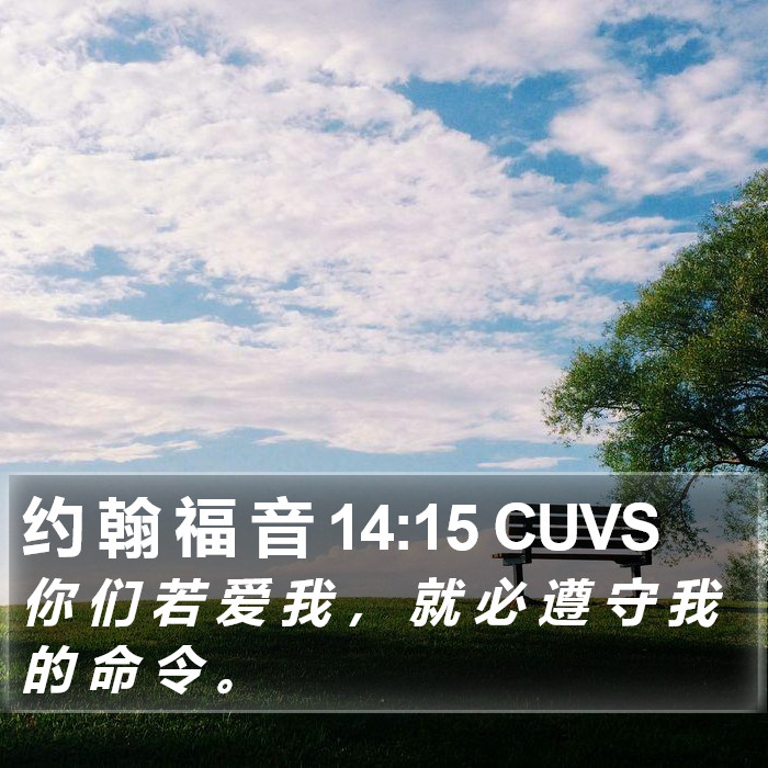 约 翰 福 音 14:15 CUVS Bible Study