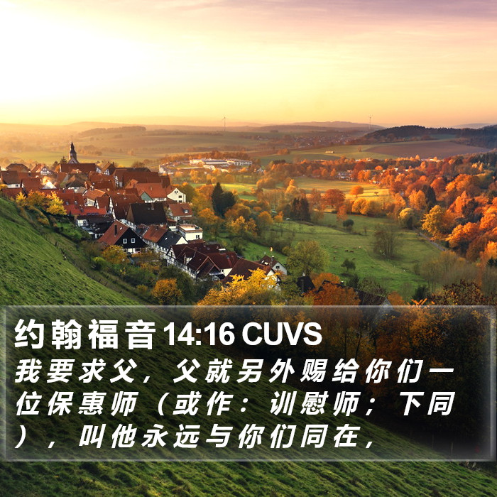 约 翰 福 音 14:16 CUVS Bible Study