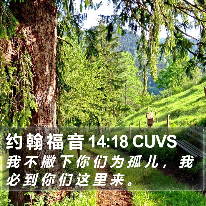 约 翰 福 音 14:18 CUVS Bible Study