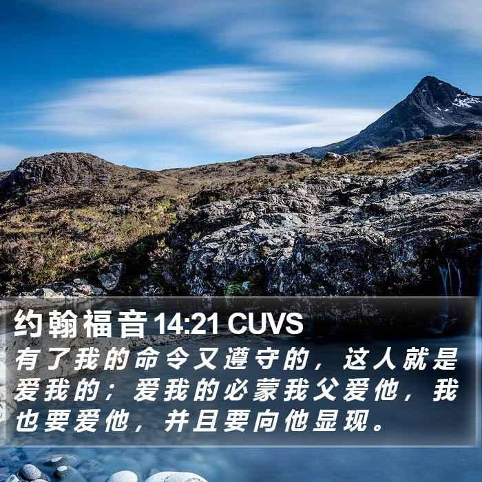 约 翰 福 音 14:21 CUVS Bible Study