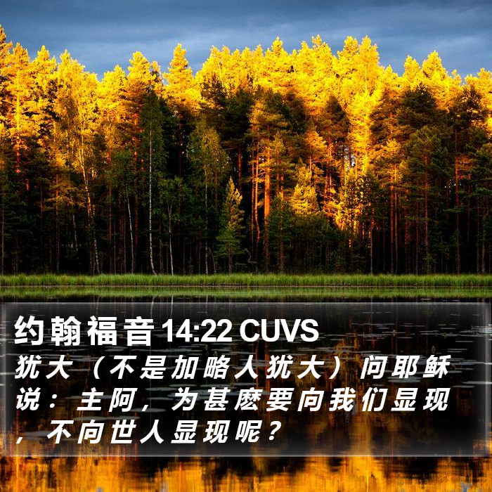 约 翰 福 音 14:22 CUVS Bible Study