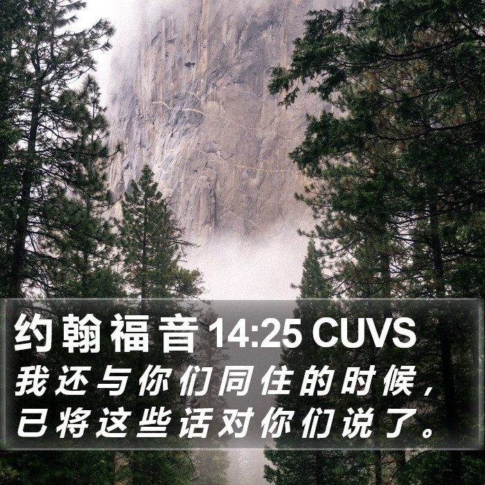 约 翰 福 音 14:25 CUVS Bible Study