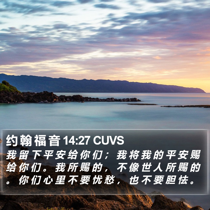 约 翰 福 音 14:27 CUVS Bible Study