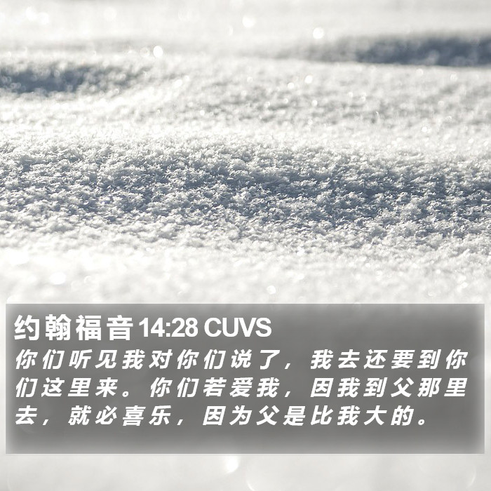 约 翰 福 音 14:28 CUVS Bible Study