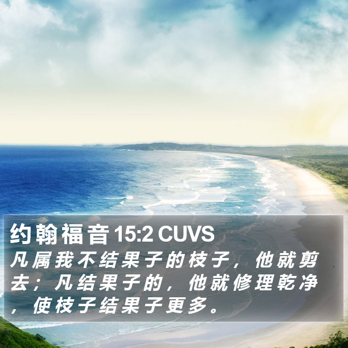 约 翰 福 音 15:2 CUVS Bible Study