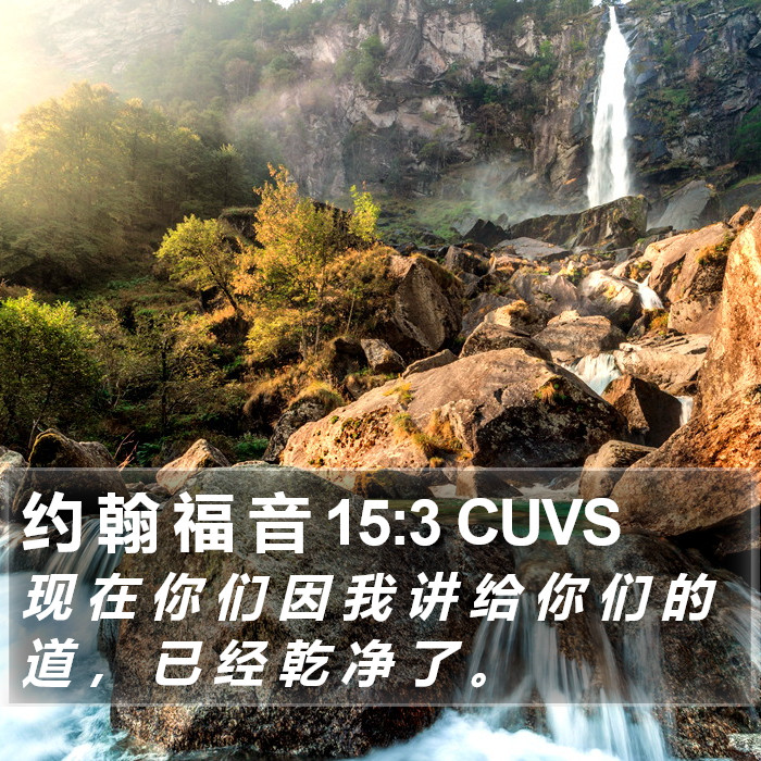 约 翰 福 音 15:3 CUVS Bible Study