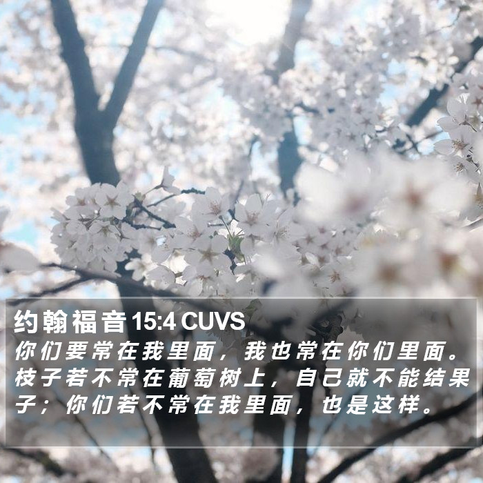 约 翰 福 音 15:4 CUVS Bible Study