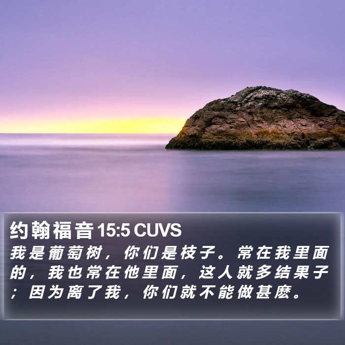 约 翰 福 音 15:5 CUVS Bible Study