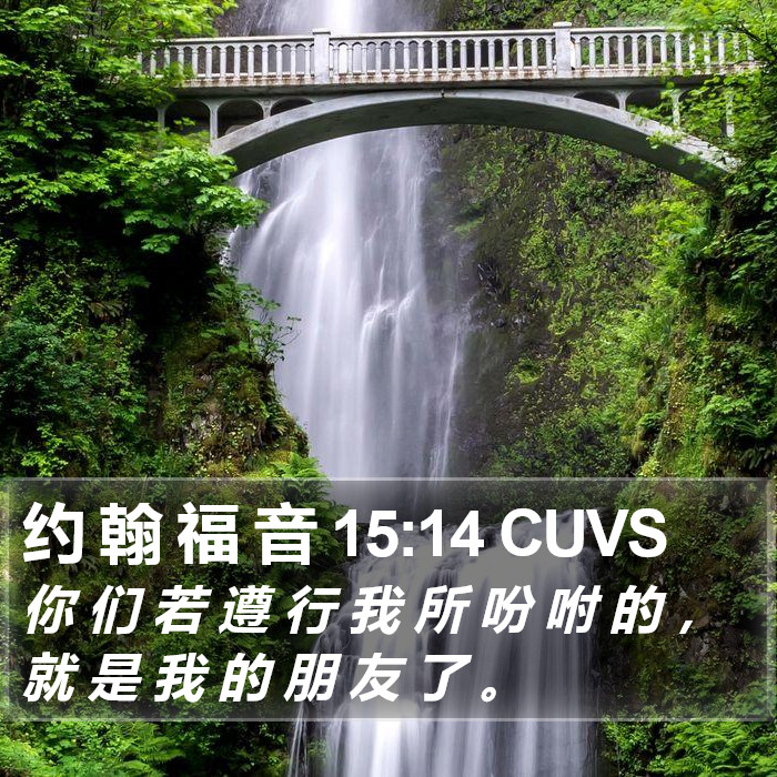 约 翰 福 音 15:14 CUVS Bible Study