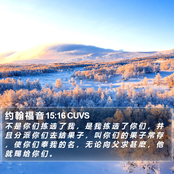 约 翰 福 音 15:16 CUVS Bible Study