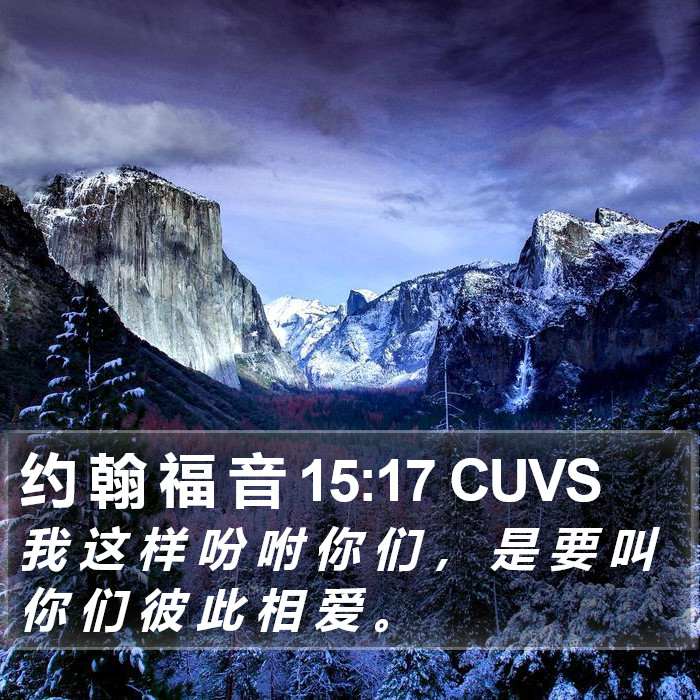 约 翰 福 音 15:17 CUVS Bible Study