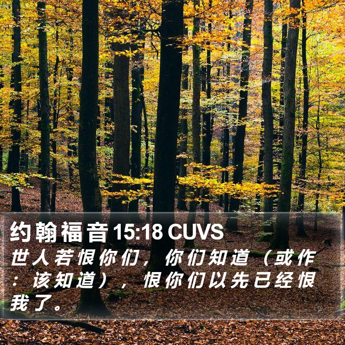 约 翰 福 音 15:18 CUVS Bible Study