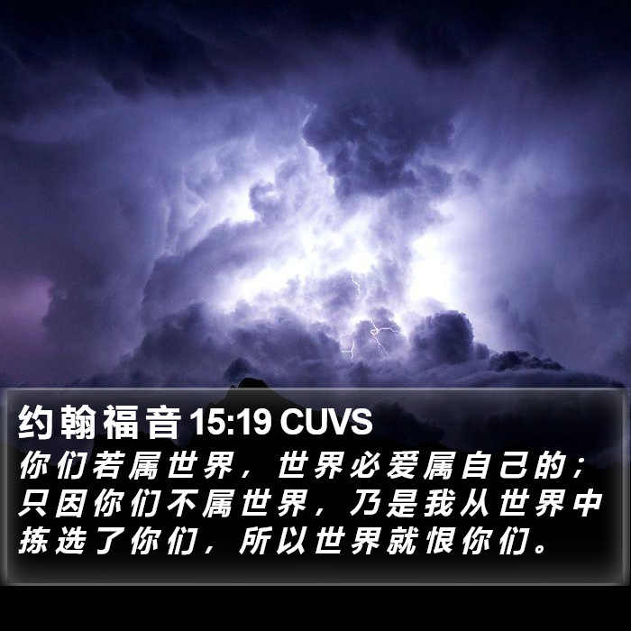 约 翰 福 音 15:19 CUVS Bible Study