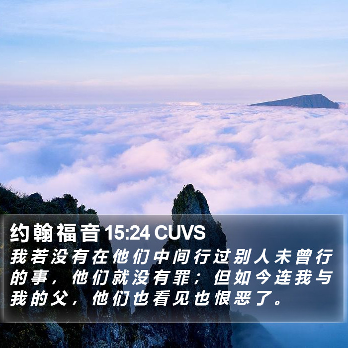 约 翰 福 音 15:24 CUVS Bible Study