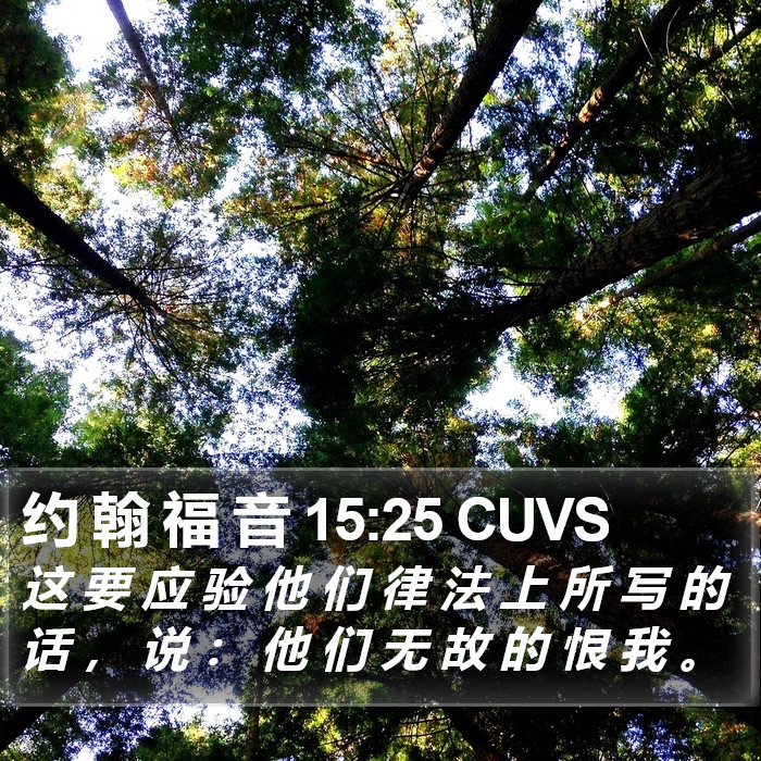 约 翰 福 音 15:25 CUVS Bible Study