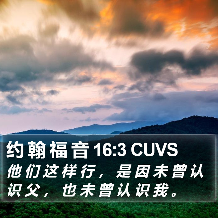 约 翰 福 音 16:3 CUVS Bible Study