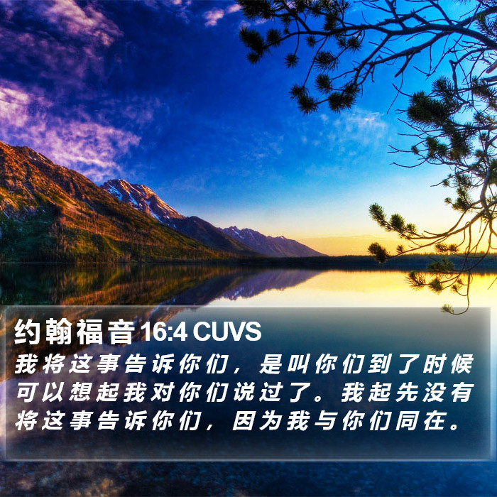 约 翰 福 音 16:4 CUVS Bible Study