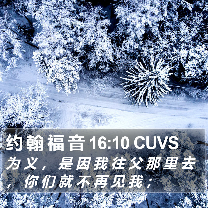 约 翰 福 音 16:10 CUVS Bible Study