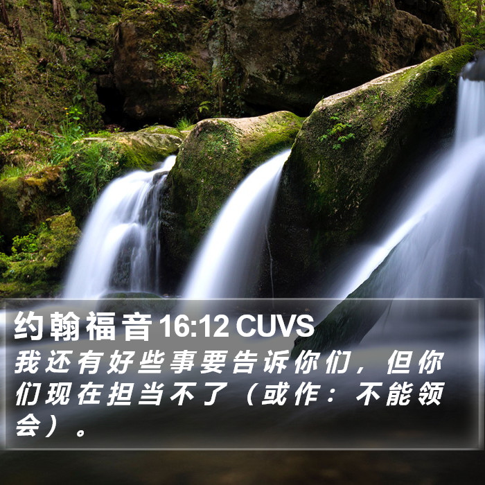 约 翰 福 音 16:12 CUVS Bible Study