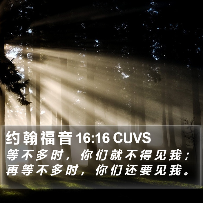 约 翰 福 音 16:16 CUVS Bible Study