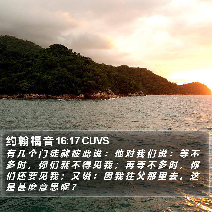 约 翰 福 音 16:17 CUVS Bible Study