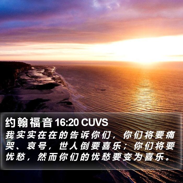 约 翰 福 音 16:20 CUVS Bible Study