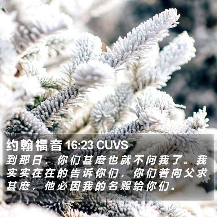 约 翰 福 音 16:23 CUVS Bible Study