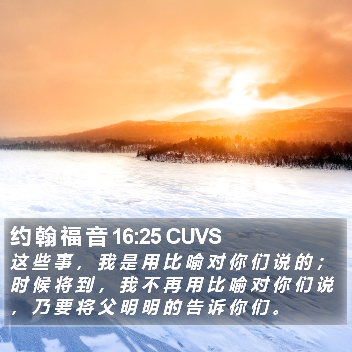 约 翰 福 音 16:25 CUVS Bible Study