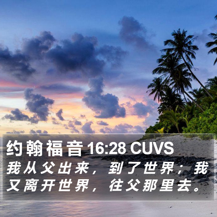 约 翰 福 音 16:28 CUVS Bible Study