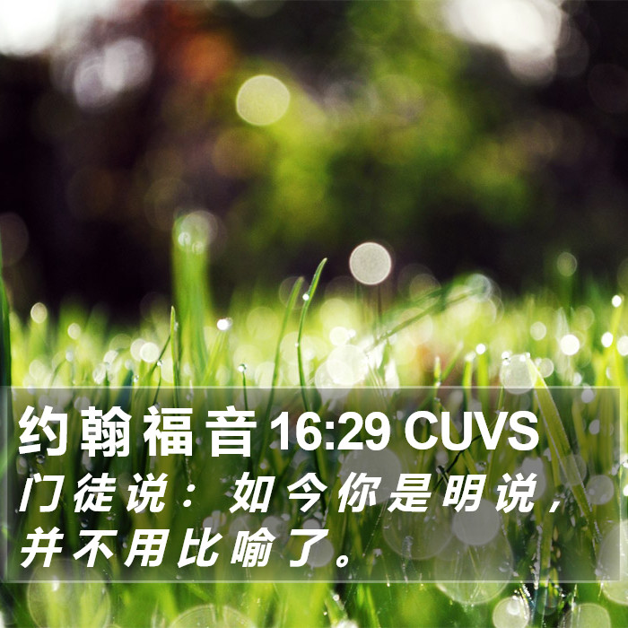 约 翰 福 音 16:29 CUVS Bible Study