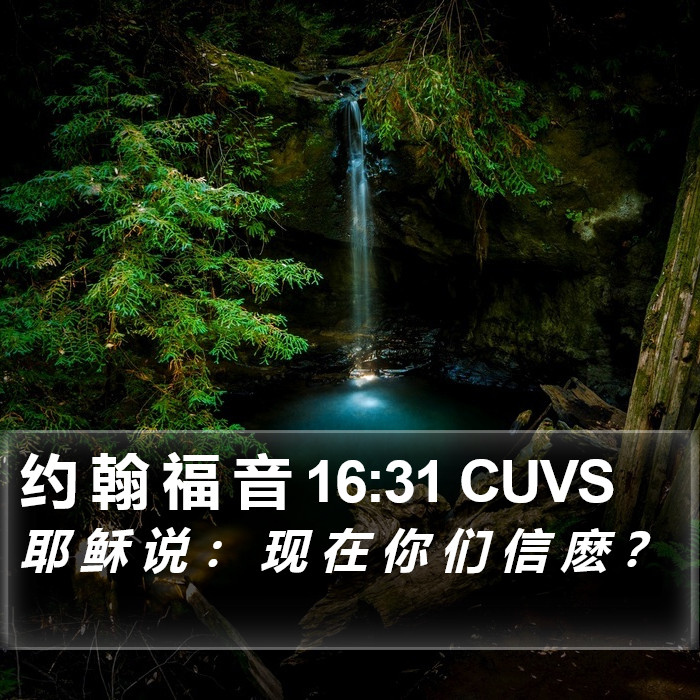 约 翰 福 音 16:31 CUVS Bible Study