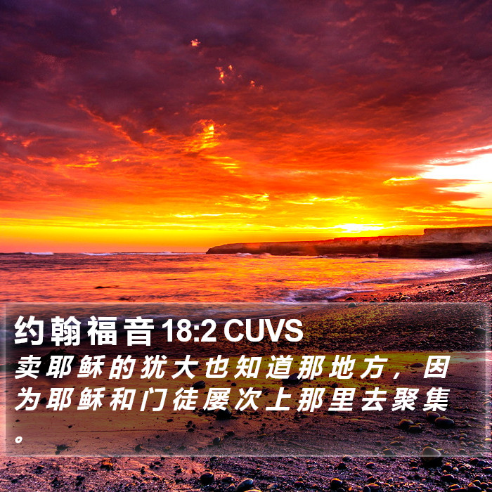 约 翰 福 音 18:2 CUVS Bible Study