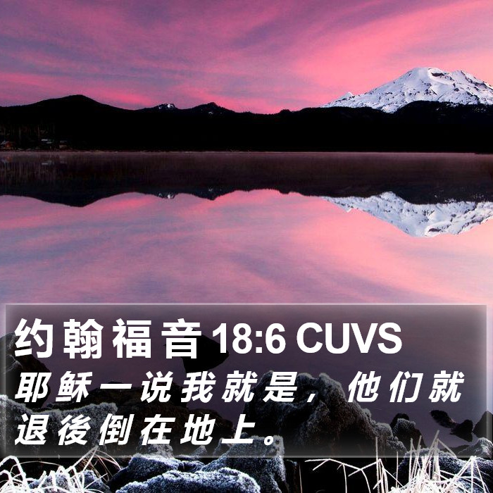 约 翰 福 音 18:6 CUVS Bible Study