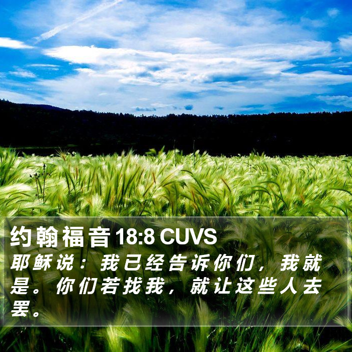 约 翰 福 音 18:8 CUVS Bible Study