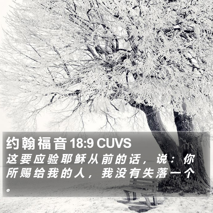 约 翰 福 音 18:9 CUVS Bible Study