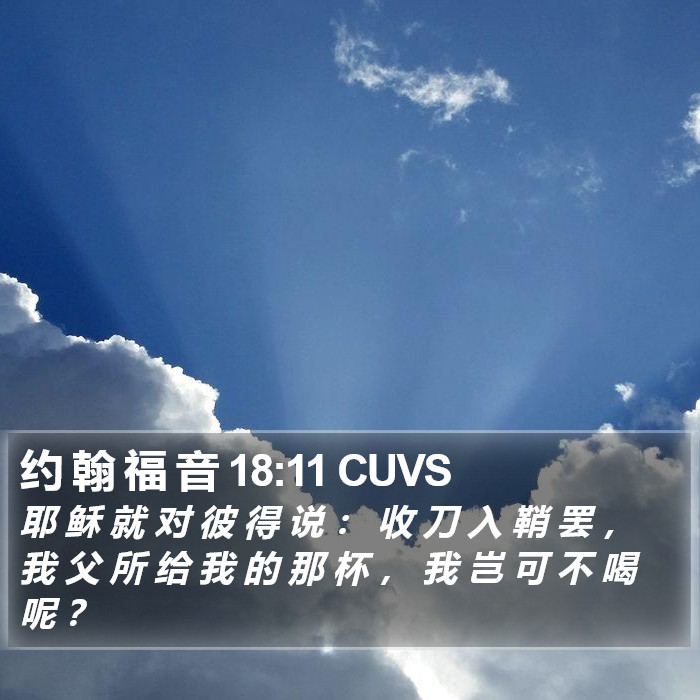 约 翰 福 音 18:11 CUVS Bible Study