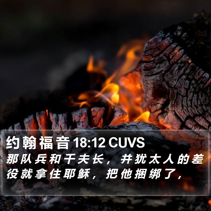 约 翰 福 音 18:12 CUVS Bible Study