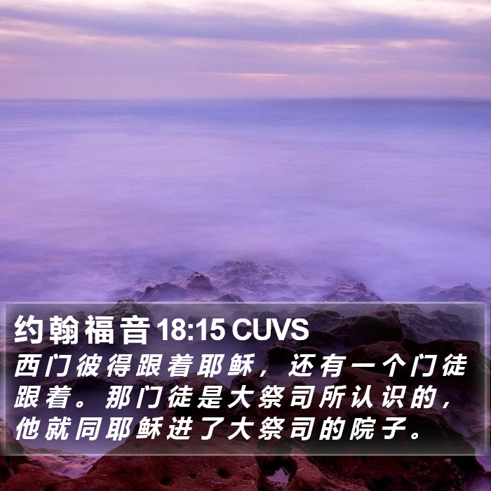 约 翰 福 音 18:15 CUVS Bible Study