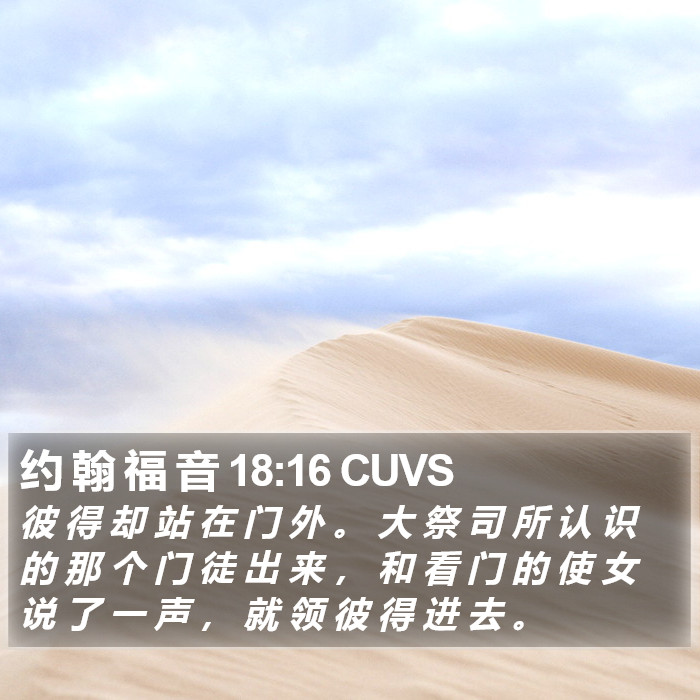 约 翰 福 音 18:16 CUVS Bible Study