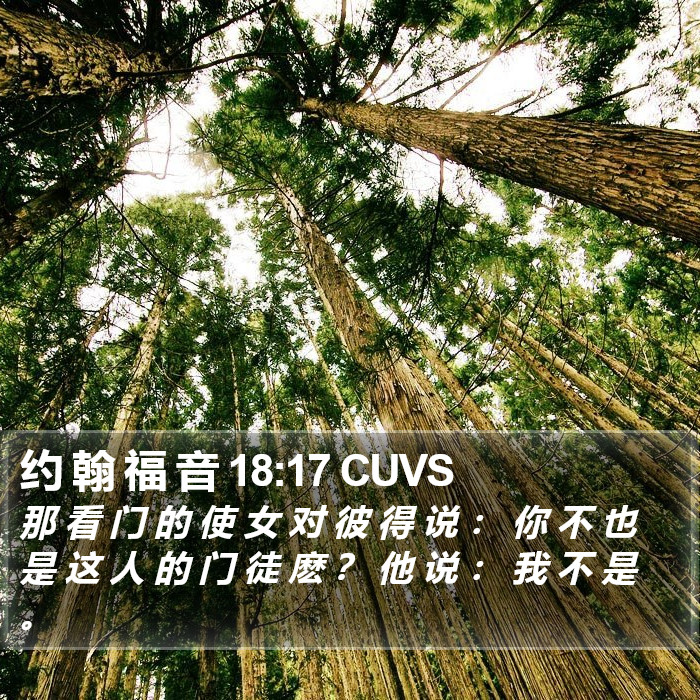 约 翰 福 音 18:17 CUVS Bible Study