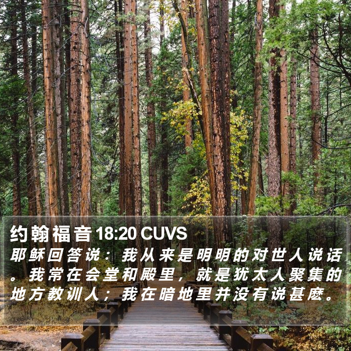 约 翰 福 音 18:20 CUVS Bible Study