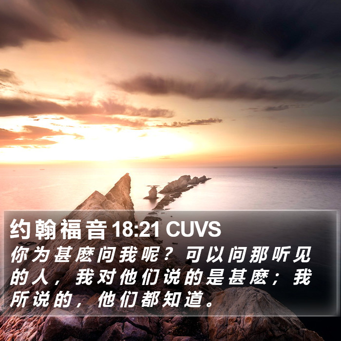 约 翰 福 音 18:21 CUVS Bible Study