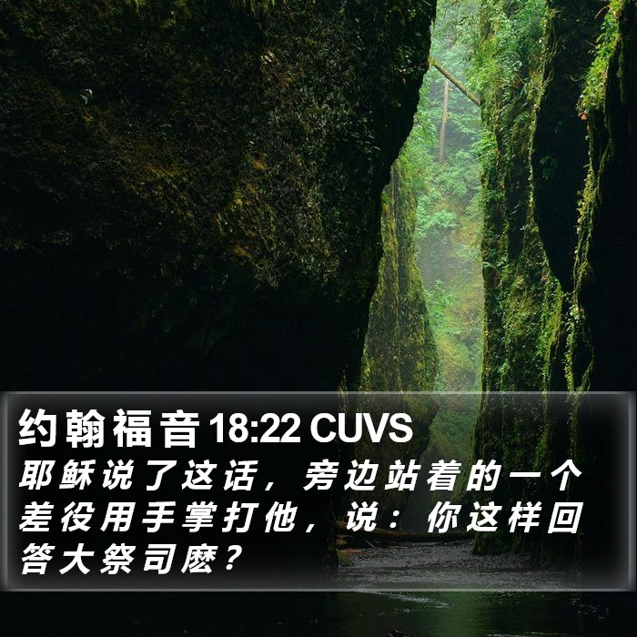 约 翰 福 音 18:22 CUVS Bible Study